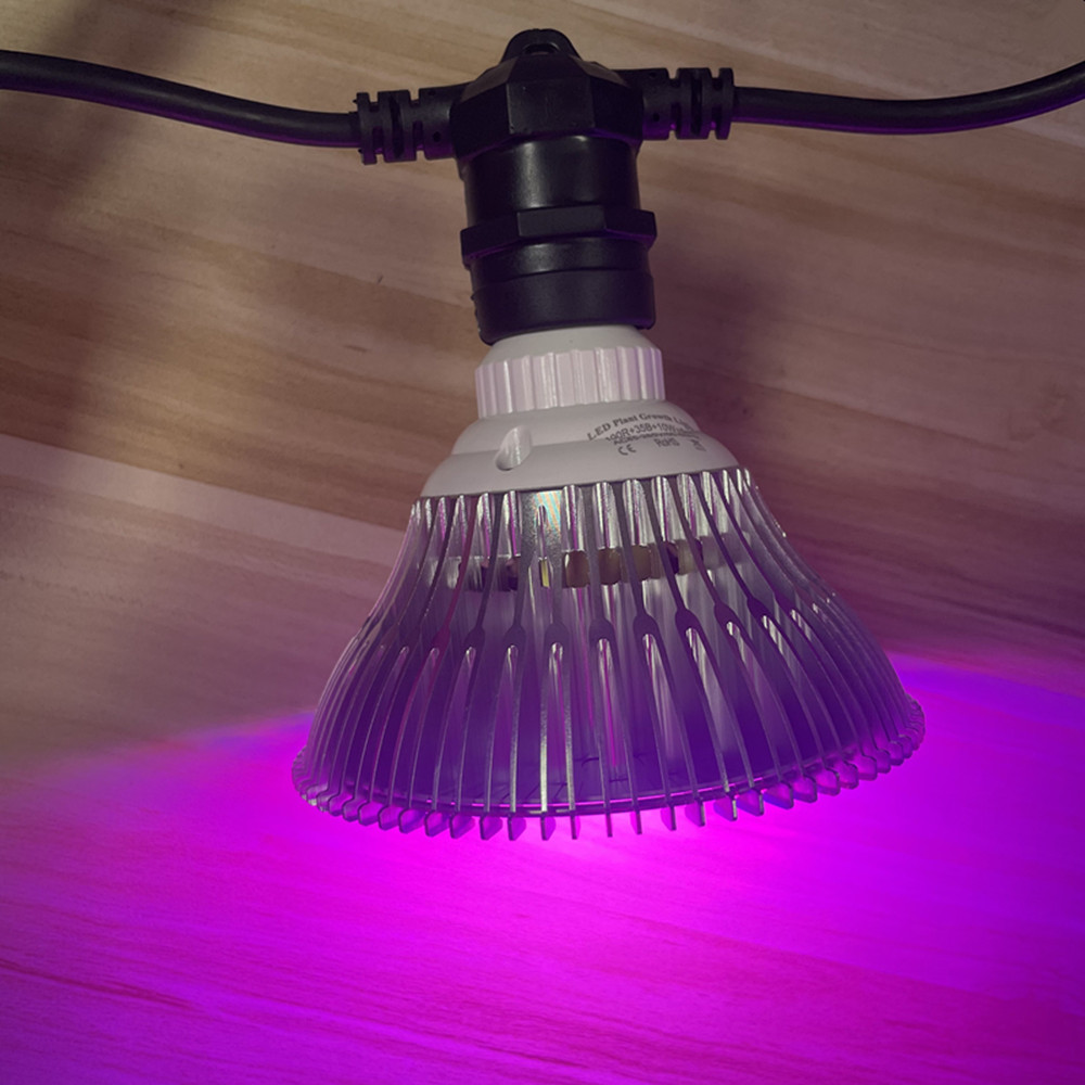 สายไฟ LED ยาว 10 เมตร เกรดเชิง - Outdoor Power Adapter บทวิจารณ์และราคา
